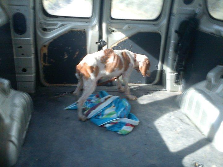 Sigue sin acogida, necesita sentirse querida