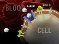 Nuevo Tratamiento para la Diabetes tipo 2
