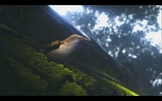 Presentación técnica de Wii U: El pajarito de Molineux