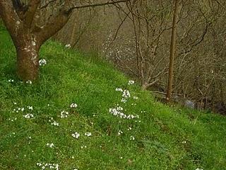 Nunca como antes y siempre...Nunca como antes y siempre c...