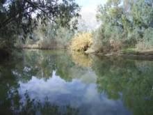 El Guadiamar y el Corredor Verde