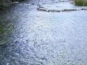 Senderos agua