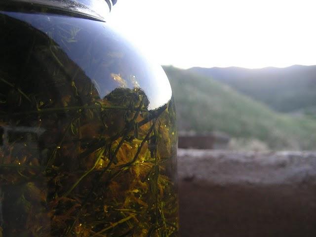 MATARRANIA: Cosmética bio con aceite de oliva.