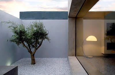 NUEVOS PATIOS MODERNOS