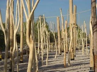 Celebramos el fin de obra de MRío