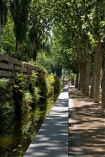 Celebramos el fin de obra de MRío