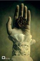 Exposición Colectivo Imagen. “ELLAS” Lía G.