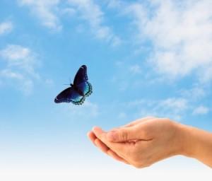 Ser Testigos del Colapso