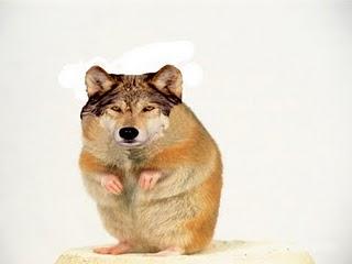 Mis bichos favoritos