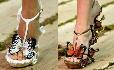 Papillon in the runway (By Clotílde V.S)