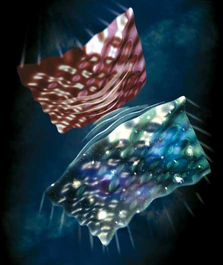 Branas y burbujas anteriores al Big Bang