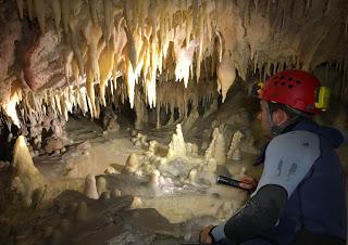 Nos conceden el Premio Nacional de Defensa de la Naturaleza
