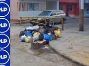 Están convirtiendo vicente distrito pestilente…