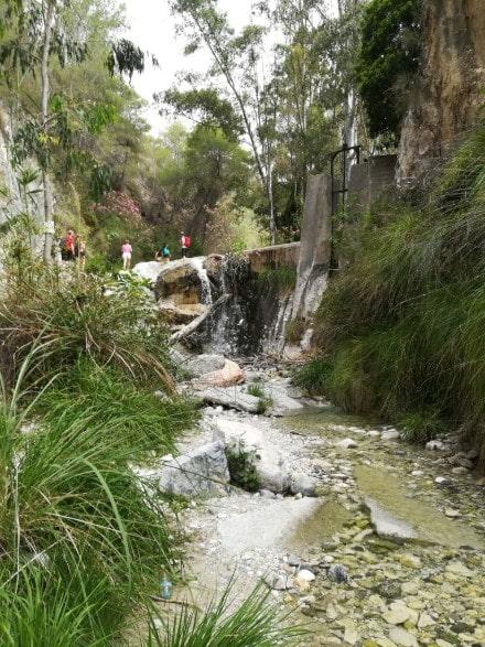 cachorros-chillar-paisaje