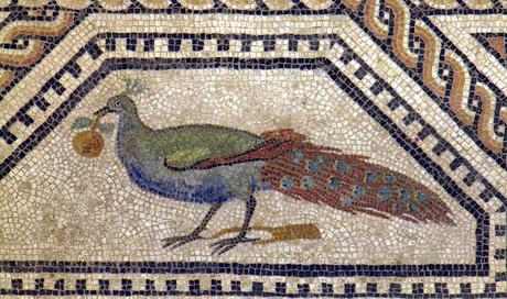 Pulchra avis, pavos reales, faisanes y loros en la antigua Roma