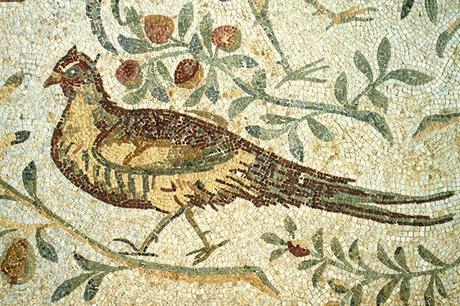 Pulchra avis, pavos reales, faisanes y loros en la antigua Roma