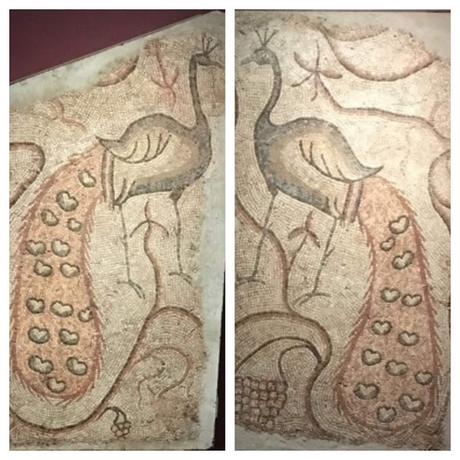 Pulchra avis, pavos reales, faisanes y loros en la antigua Roma