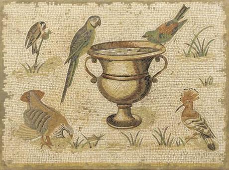 Pulchra avis, pavos reales, faisanes y loros en la antigua Roma
