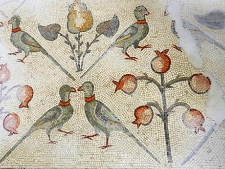 Pulchra avis, pavos reales, faisanes y loros en la antigua Roma