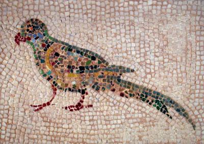 Pulchra avis, pavos reales, faisanes y loros en la antigua Roma