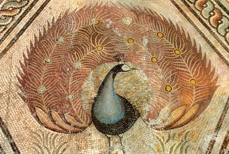 Pulchra avis, pavos reales, faisanes y loros en la antigua Roma