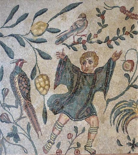 Pulchra avis, pavos reales, faisanes y loros en la antigua Roma