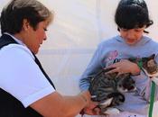 Llama secretaría salud inculcar tenencia responsable mascotas