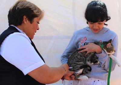 LLAMA SECRETARÍA DE SALUD A INCULCAR TENENCIA RESPONSABLE DE MASCOTAS