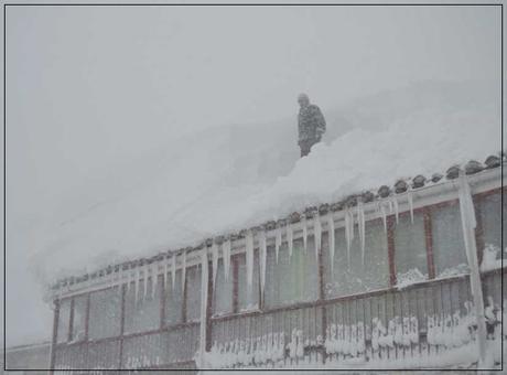 La nevaona de 2015