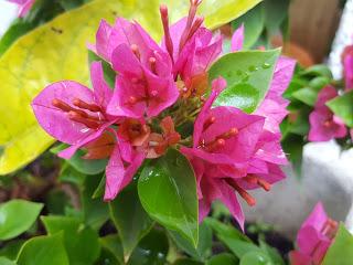 Adiós 2019 y gracias!