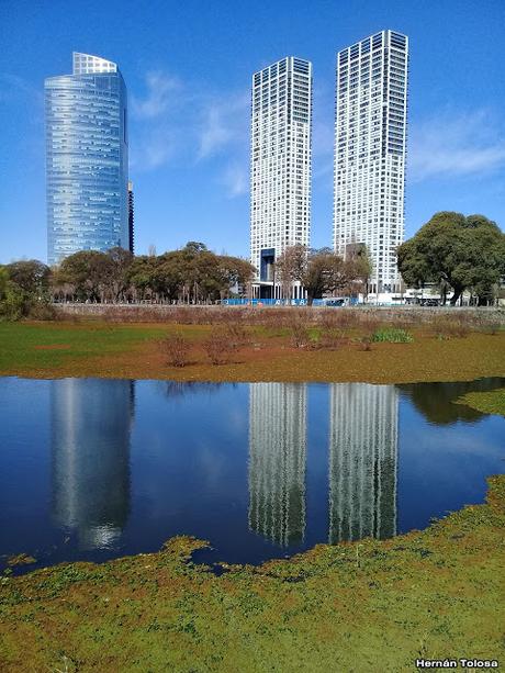 Lo más destacado de 2019