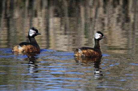 Lo más destacado de 2019