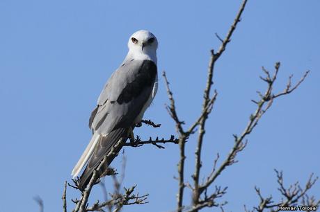 Lo más destacado de 2019