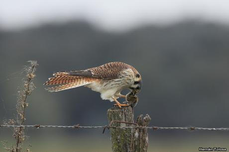 Lo más destacado de 2019