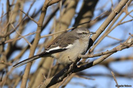Lo más destacado de 2019