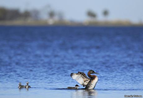 Lo más destacado de 2019