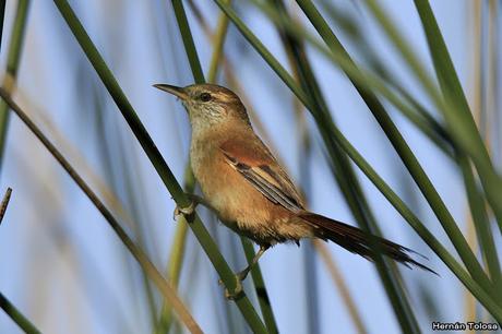 Lo más destacado de 2019