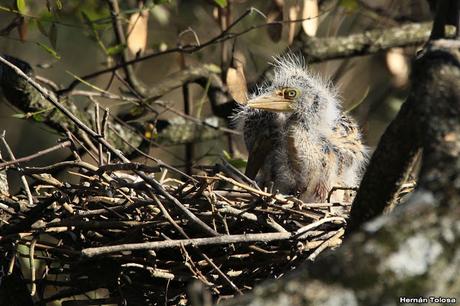 Lo más destacado de 2019