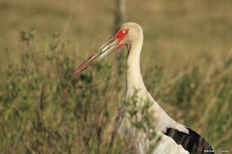 Lo más destacado de 2019