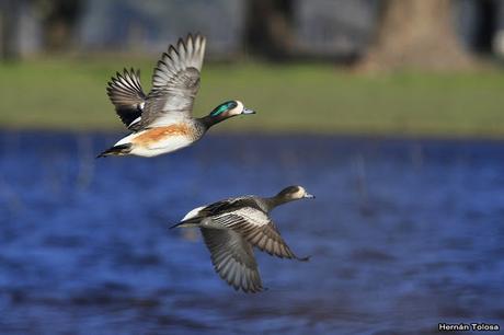Lo más destacado de 2019