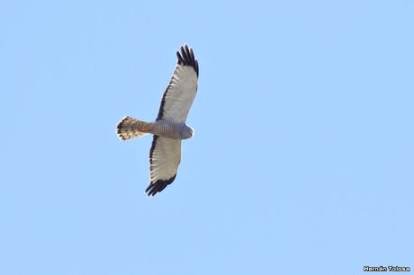 Lo más destacado de 2019