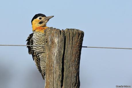 Lo más destacado de 2019