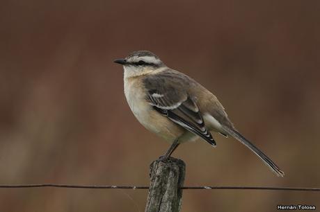 Lo más destacado de 2019
