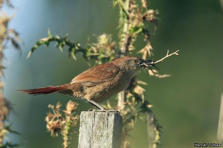 Lo más destacado de 2019