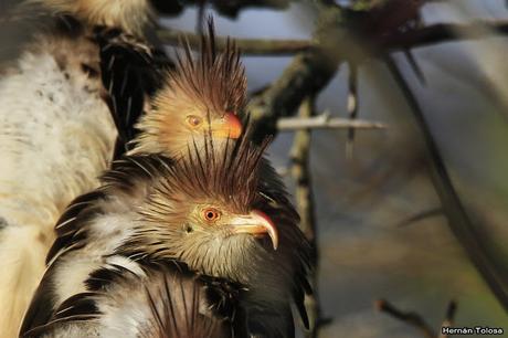 Lo más destacado de 2019