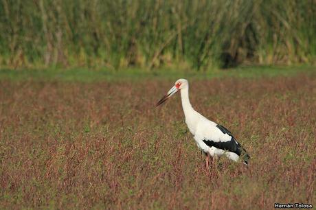 Lo más destacado de 2019