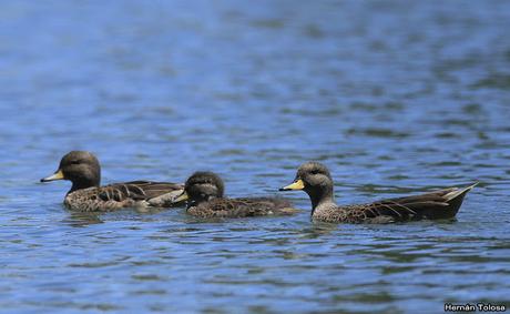 Lo más destacado de 2019