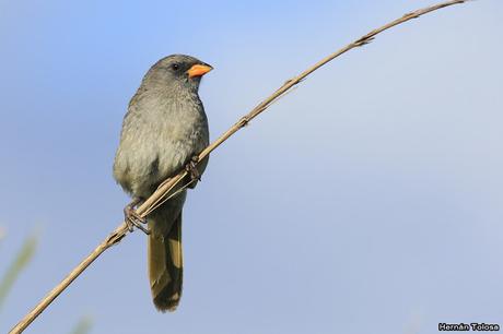 Lo más destacado de 2019