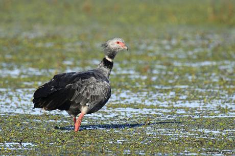 Lo más destacado de 2019