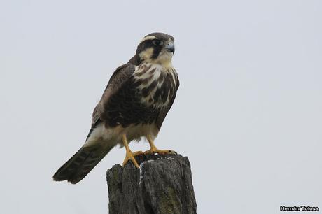 Lo más destacado de 2019